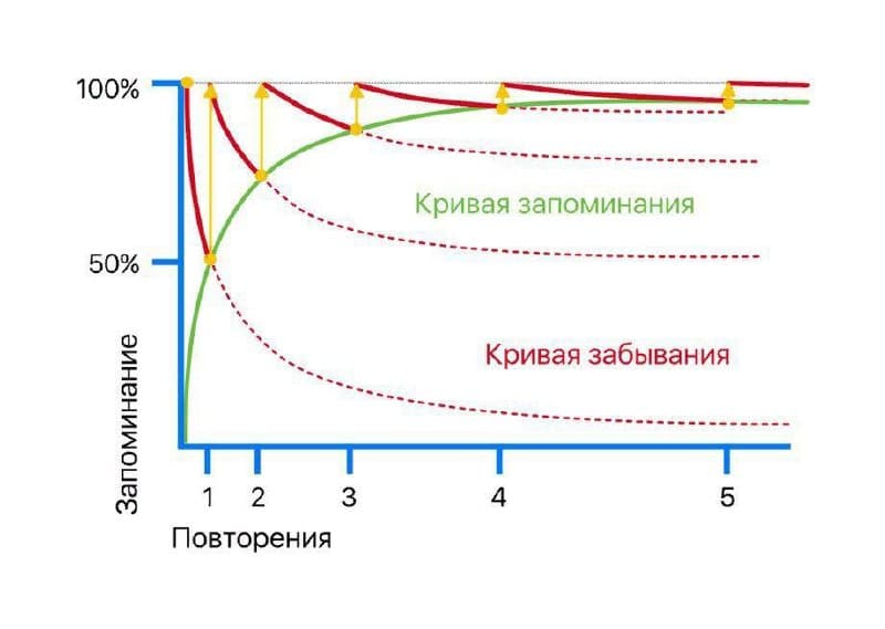 Повторять полезно