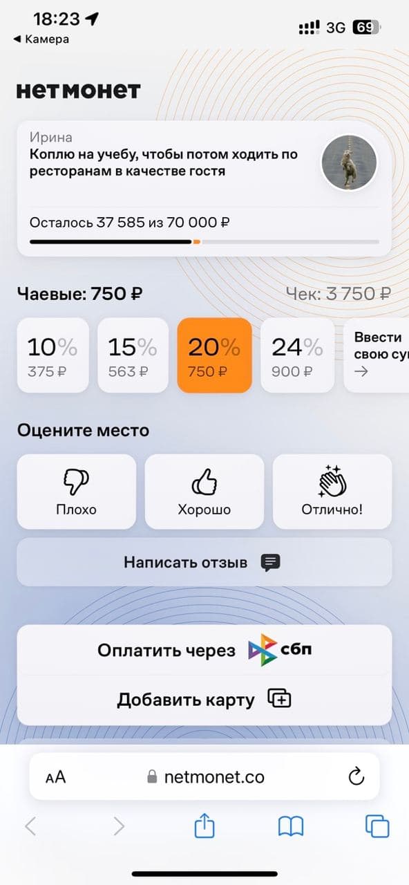 Геймификация — не только Duolingo